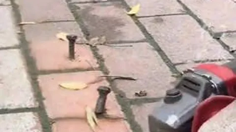 电竞焦点战分析，战队策略对决